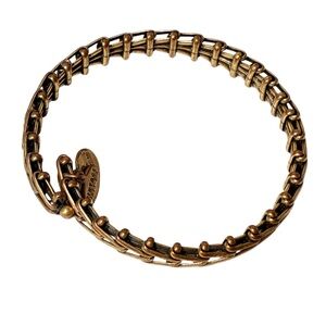Alex and Ani Gypsy 66 Wrap Expandable Bracelet Rafaelian Gold finish Bracelet